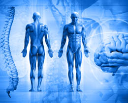 Laboratory biology research